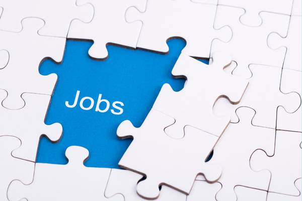 Freshers Jobs