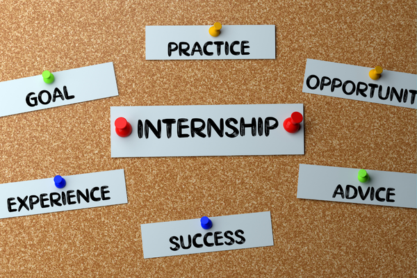 Software Internship for Freshers