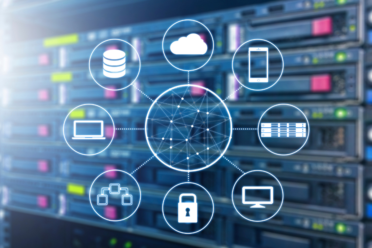 Top Software Developer Company Near You